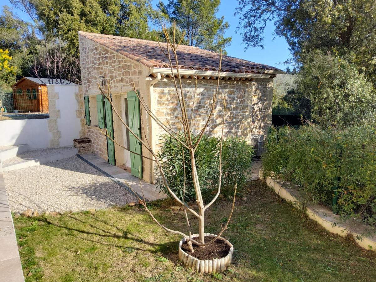 Studio Faillant Lorgues Spa Privatif Avec Superbe Piscine Εξωτερικό φωτογραφία
